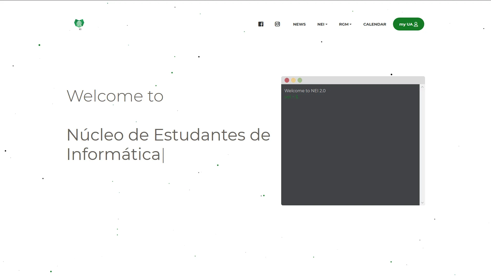 NEI Website Logo